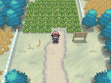 Pokemon Black Version 2