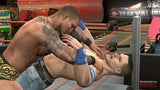 WWE Smackdown vs. RAW 2010