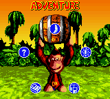 Donkey Kong Country (Loose)