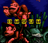 Donkey Kong Country (Loose)