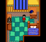 Harry Potter & The Chamber Of Secrets (Boxed)