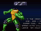 Battletoads/ Double Dragon