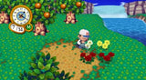Animal Crossing City Folk