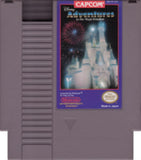 Adventures In The Magic Kingdom