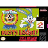 Tiny Toon Adventures Buster Busts Loose