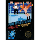 Pro Wrestling