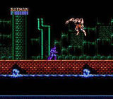 Batman The Video Game