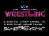 WCW World Championship Wrestling