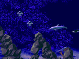 Ecco The Tides Of Time