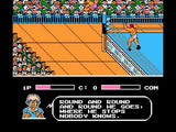 Tecmo World Wrestling
