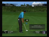 Tiger Woods 2004