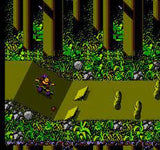 Town & Country II: Thrilla's Surfari