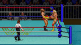 WWF Super Wrestlemania