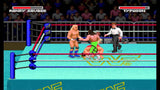 WWF Super Wrestlemania