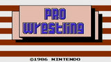 Pro Wrestling