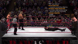 WWE 13