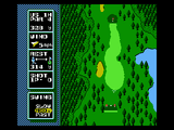 NES Open Tournament Golf