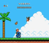 Adventure Island II