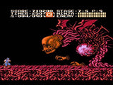 Ninja Gaiden II The Dark Sword Of Chaos