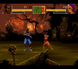 Shaq Fu