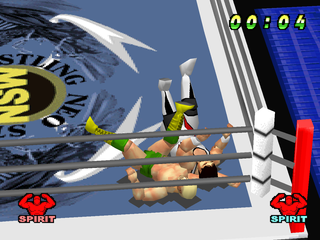 WCW Vs The World