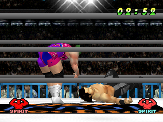 WCW Vs The World