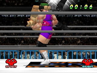 WCW Vs The World