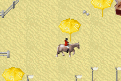 Horsez (Loose)
