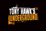 Tony Hawk's Underground (Loose)