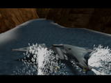 Tiger Shark