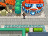 Pokemon Black Version 2