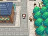 Pokemon Black Version 2