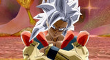 Dragon Ball Z: Budokai 3
