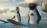 Surf's Up (Loose)