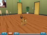 Cesar Millan's Dog Whisperer (Loose)
