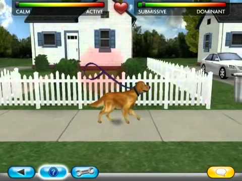 Cesar Millan's Dog Whisperer (Loose)