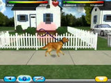 Cesar Millan's Dog Whisperer (Loose)