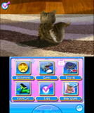 Purr Pals (Loose)