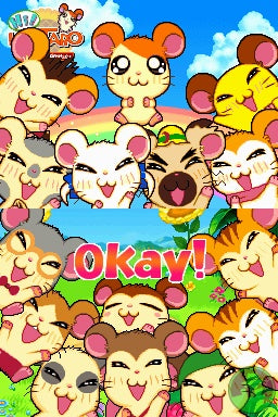 Hi! Hamtaro: Ham-Ham Challenge