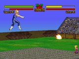 Dragon Ball Z Ultimate Battle 22