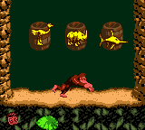 Donkey Kong Country (Loose)
