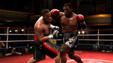 Fight Night Round 4