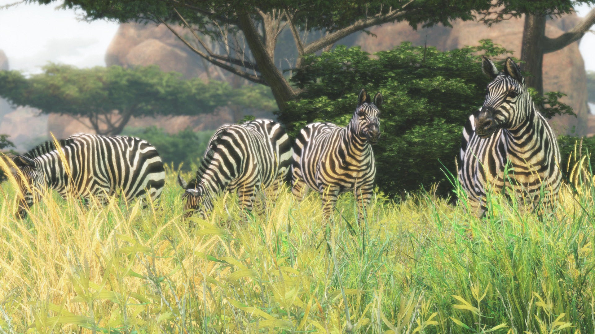 Cabela's African Adventures