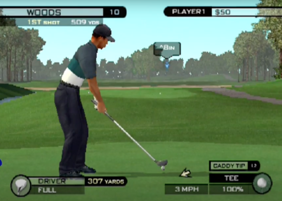 Tiger Woods 2009