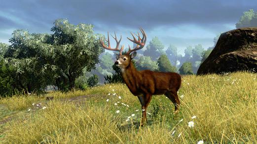 Cabela's Outdoor Adventures 2010