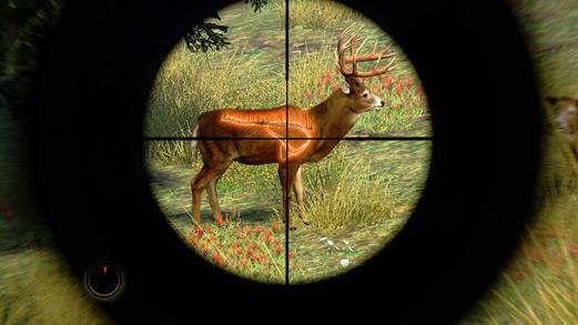 Cabela's Outdoor Adventures 2010