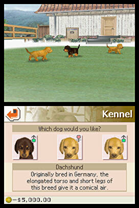 Nintendogs Lab And Friends