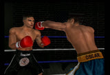Knockout Kings 2002