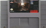Mary Shelley's Frankenstein