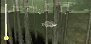 Reel Fishing: Angler's Dream